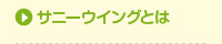 サニーウイングとは